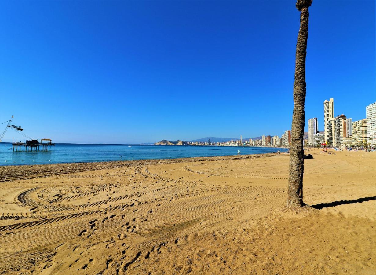 Apartment Don Miguel 2-a Levante *